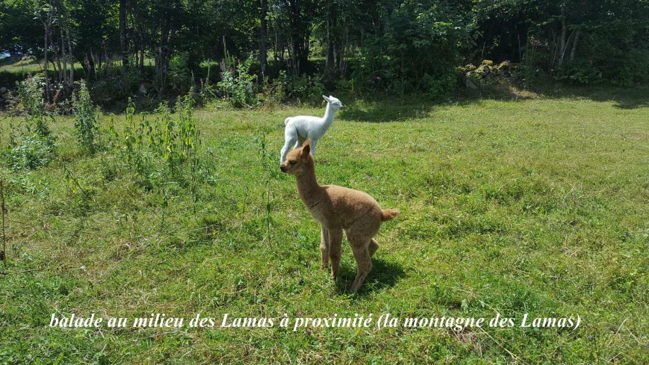 Les Genets La Bresse