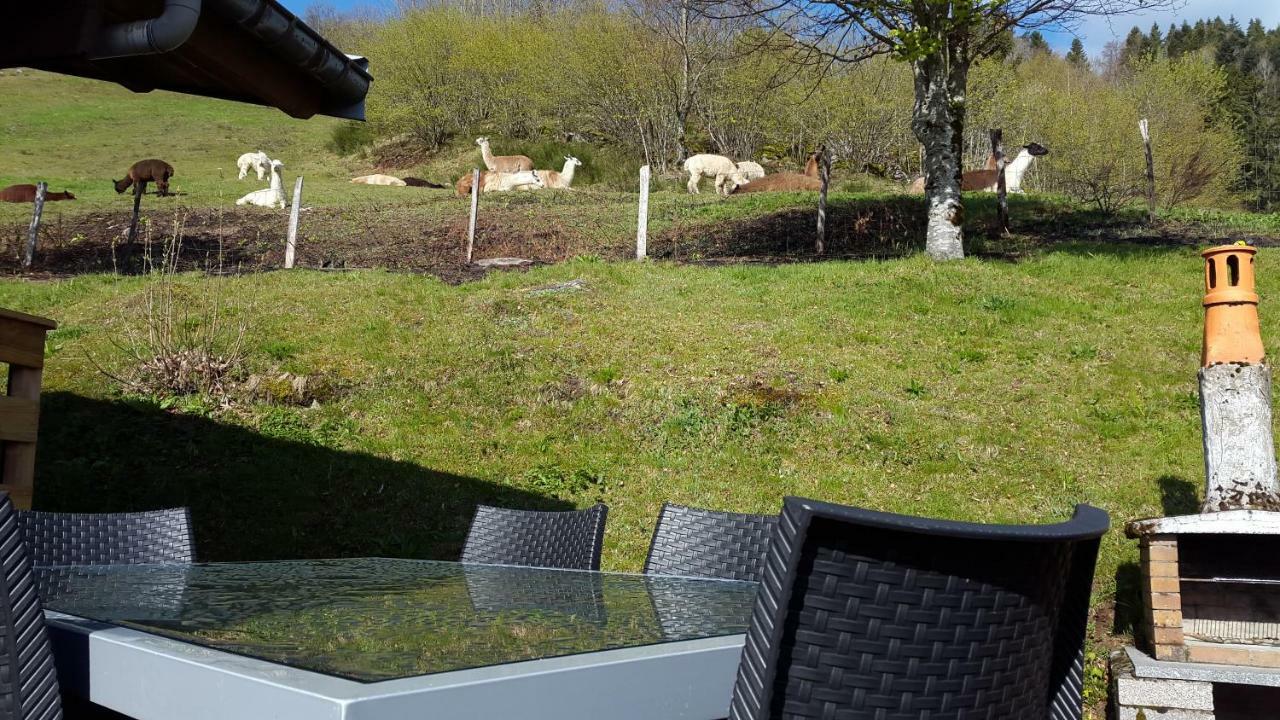 Les Genets Chalet La Bresse